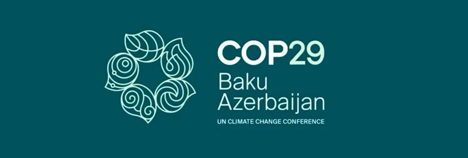 Cop-29